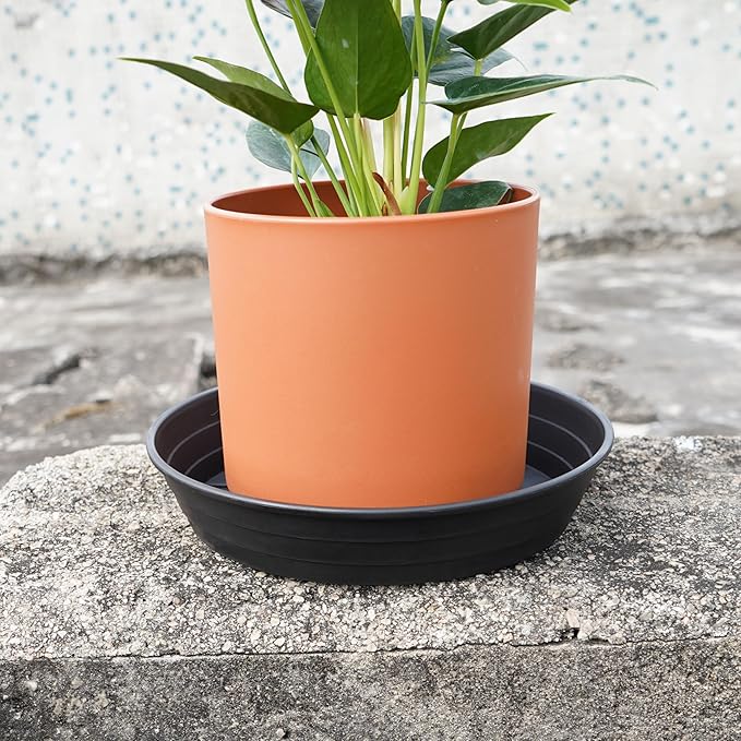 LWALRS 4 Packs 8 Inches Plant Saucer Drip Trays, Round Plastic Plant Pot - Image 4
