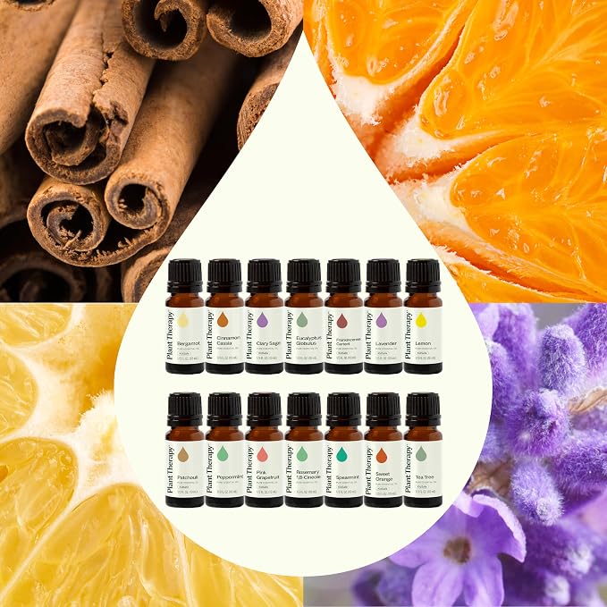 Plant Therapy Top 14 Essential Oil Set, 10 mL Bottles of Lavender, Eucalyptus - Image 4