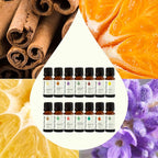 Plant Therapy Top 14 Essential Oil Set, 10 mL Bottles of Lavender, Eucalyptus - Image 4