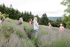 Victoria's Lavender Neck Wrap Gift Set - Image 5