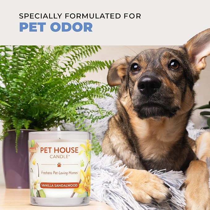 Pet House Pet Friendly Candle Plant Based Scented Candle Clean Burning - Image 6