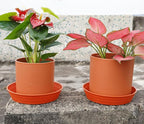 Plant Saucer 8 Inch 4 Pack 6 8 10 12 14 16 18 20 25, Plastic Plant Trays - Image 3