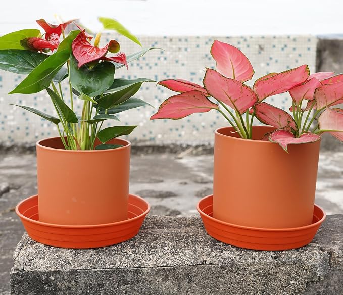 Plant Saucer 8 Inch 4 Pack 6 8 10 12 14 16 18 20 25, Plastic Plant Trays - Image 3