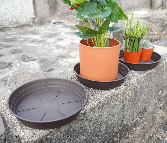 Plant Saucer 8 Inch 4 Pack 6 8 10 12 14 16 18 20 25, Plastic Plant Trays - Image 4