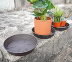 Plant Saucer 8 Inch 4 Pack 6 8 10 12 14 16 18 20 25, Plastic Plant Trays - Image 4