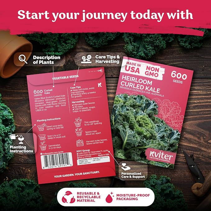KVITER 600 Vates Blue Scotch Curly Kale Seeds – Curled Green Kale Seed Packets - Image 2