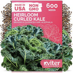 KVITER 600 Vates Blue Scotch Curly Kale Seeds – Curled Green Kale Seed Packets by KVITER