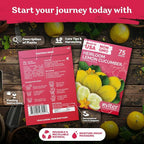 KVITER 75 Lemon Cucumber Seeds - Image 2