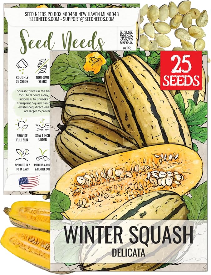 Seed Needs, Delicata Squash Seeds by SeedNeeds