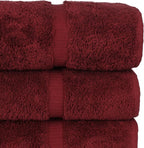 Chakir Turkish Linens 100% Cotton Premium Turkish Towels - Image 5