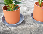 LWALRS Plant Saucer 14 Inch 4 Pack 6 8 10 12 14 16 18 20 25, Plastic Plant Trays - Image 6