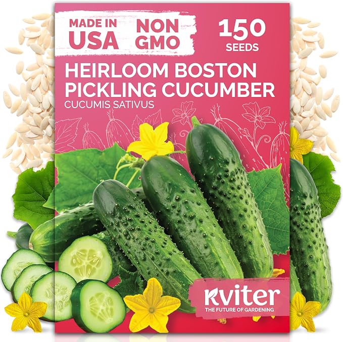 KVITER 150 Boston Pickling Cucumber Seeds by KVITER