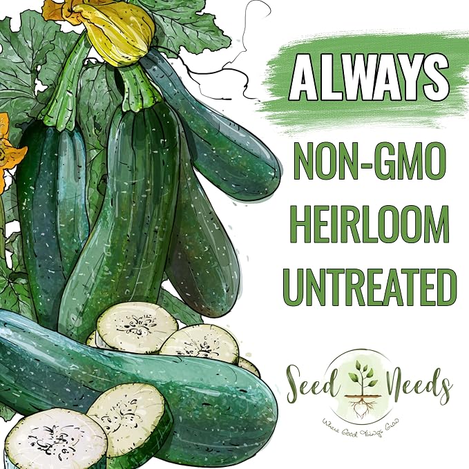 Seed Needs Zucchini Seeds for Planting Black Beauty Summer Squash - Image 4