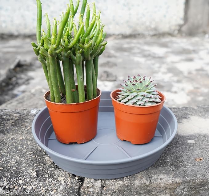 LWALRS Plant Saucer 14 Inch 4 Pack 6 8 10 12 14 16 18 20 25, Plastic Plant Trays - Image 4