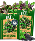 HOME GROWN Thai Basil Seeds Pack by HOMEGROWN