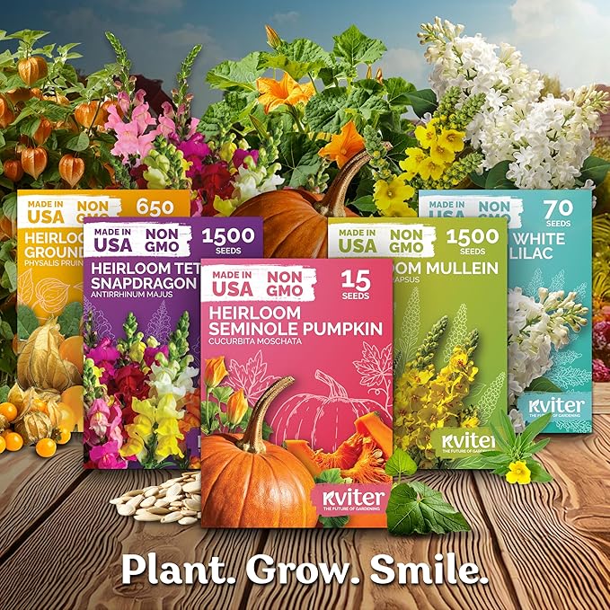 KVITER 1, 200 Baby Bok Choy Seeds - Image 7