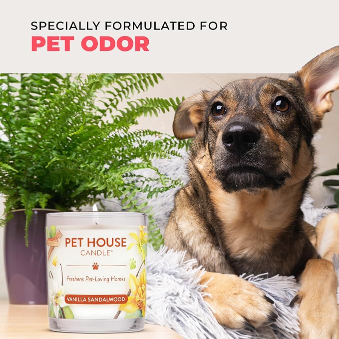 Pet House Candles, Clean Long-Burning, Scented Pet Friendly Candles, Plant-Based - Image 6