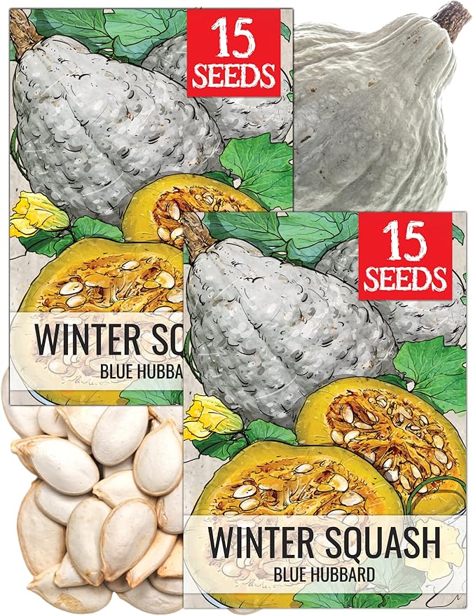 Seed Needs Blue Hubbard Winter Squash Seeds by SeedNeeds