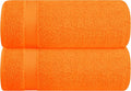 Belizzi Home Cotton 2 Pack Oversized Bath Sheet 35x70, Large Bath Sheet by Unknown