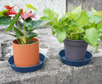 LWALRS Plant Saucer 14 Inch 2 Pack 6 8 10 12 14 16 18 20 25, Plastic Plant Trays - Image 3