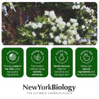 New York Biology Tea Tree Oil Foot Cream - Image 6