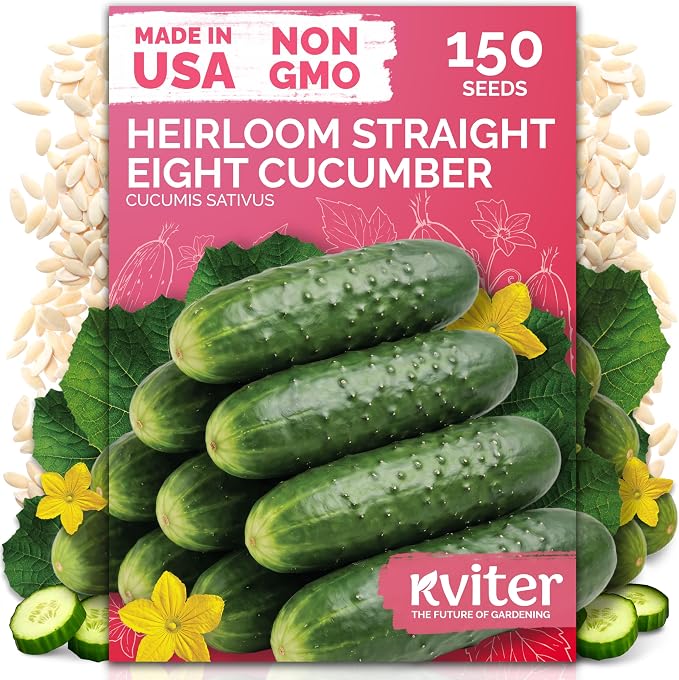 KVITER 150 Straight Eight Cucumber Seeds by KVITER