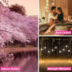 Fragrance Oils, ESSLUX Bath & Body Scented Essential Oils - Image 3