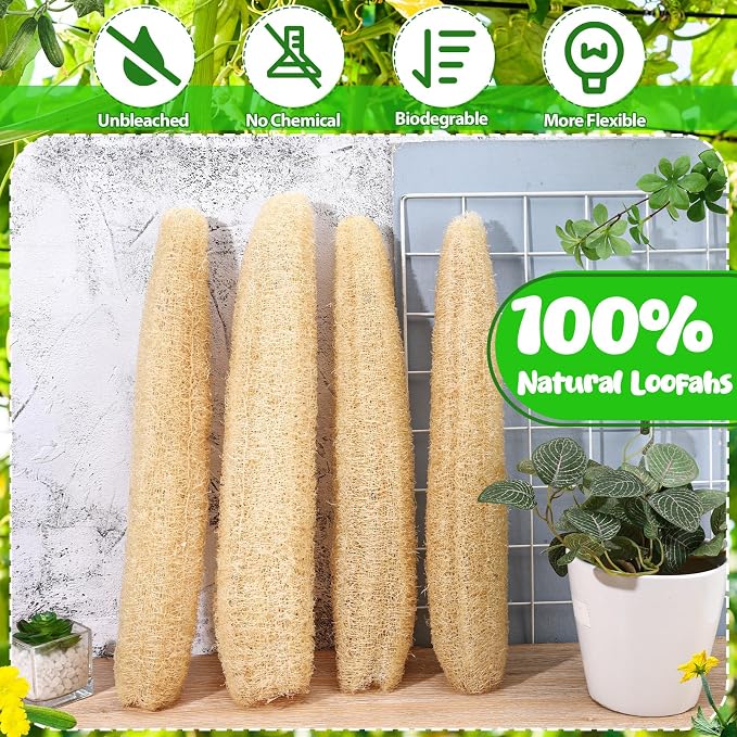 15.7-19.7 inches Natural Loofah Sponges Pack of 4 - Image 3