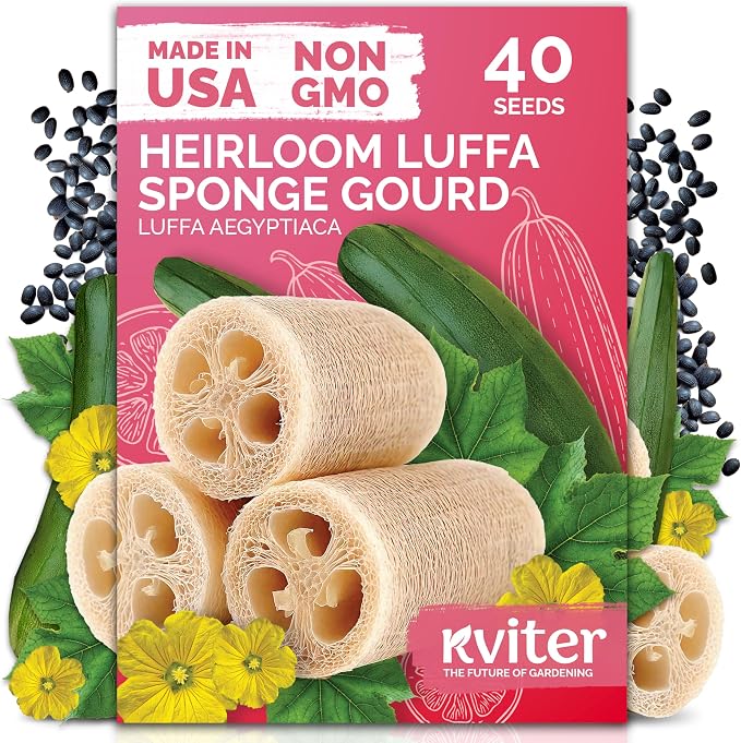 KVITER 40 Luffa Seeds – Loofa, Loofah Sponge Gourd Heirloom Seeds, Ideal Non by KVITER