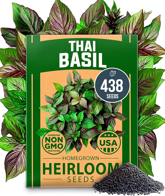 HOME GROWN Thai Basil Seeds Pack by HOMEGROWN