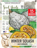 Seed Needs Blue Hubbard Winter Squash Seeds by SeedNeeds