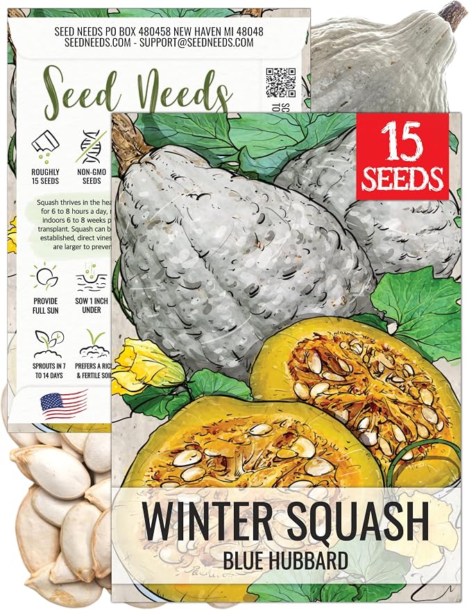 Seed Needs Blue Hubbard Winter Squash Seeds by SeedNeeds