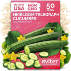 KVITER 50 English Telegraph Cucumber Seeds by KVITER