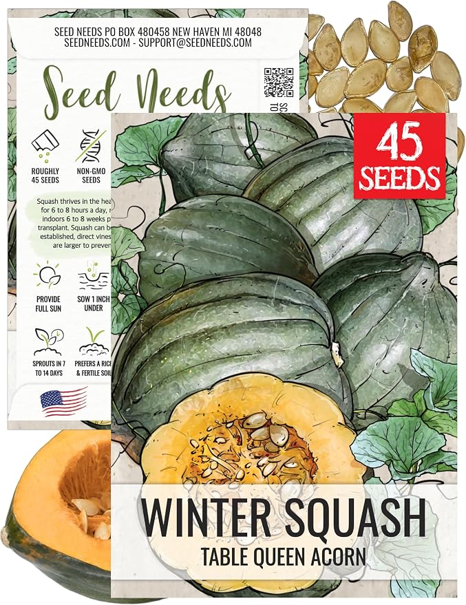 Seed Needs, Table Queen Winter Squash Seeds by SeedNeeds