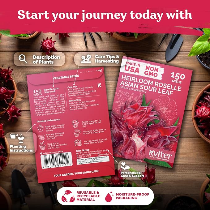 KVITER 150 Roselle Seeds for Planting – Jamaican Sorrel/Cranberry Hibisco - Image 2