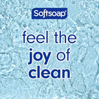 Softsoap Body Wash, Pomegranate & Mango Spritz Body Wash, 20 Fl Oz - Image 3