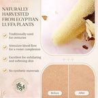 CraftsOfEgypt Egyptian Natural Loofah Body Scrubber Pads, Double Sided Luffa - Image 7