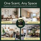Aroma Country Asian Lily Diffuser Oil - Image 8