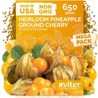 KVITER 650 Aunt Molly Ground Cherry Seeds by KVITER