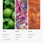 Hotel Collection Diffuser Oil-24K Magic Pro-Pod-Aromatherapy Essential - Image 4