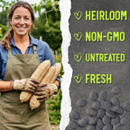Seed Needs Luffa Seeds for Planting Loofah Sponge Gourds - Image 6