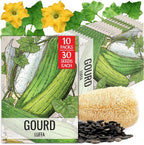 Seed Needs Luffa Seeds for Planting Loofah Sponge Gourds by SeedNeeds