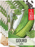 Seed Needs Luffa Seeds for Planting Loofah Sponge Gourds by SeedNeeds