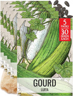 Seed Needs Luffa Seeds for Planting Loofah Sponge Gourds by SeedNeeds
