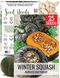 Seed Needs, Burgess Buttercup Winter Squash Seeds by SeedNeeds