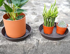 Plant Saucer 8 Inch 4 Pack 6 8 10 12 14 16 18 20 25, Plastic Plant Trays - Image 3
