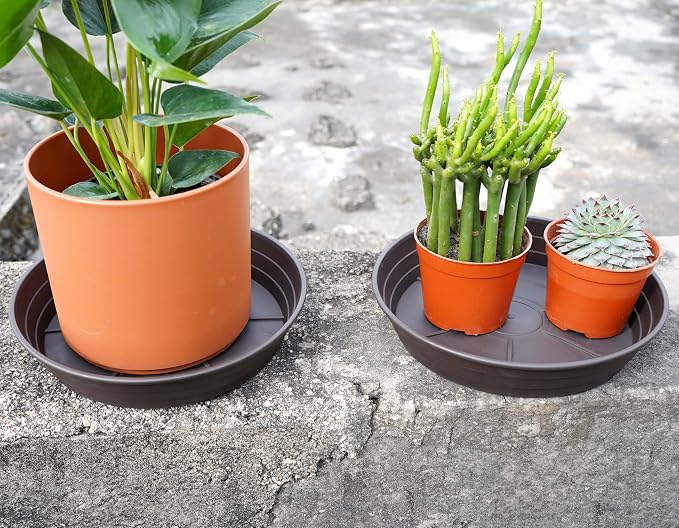 Plant Saucer 8 Inch 4 Pack 6 8 10 12 14 16 18 20 25, Plastic Plant Trays - Image 3