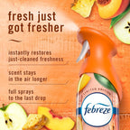 Febreze Air Mist, Air Freshener Spray, Odor Fighting Room Spray, Deodorizer - Image 3
