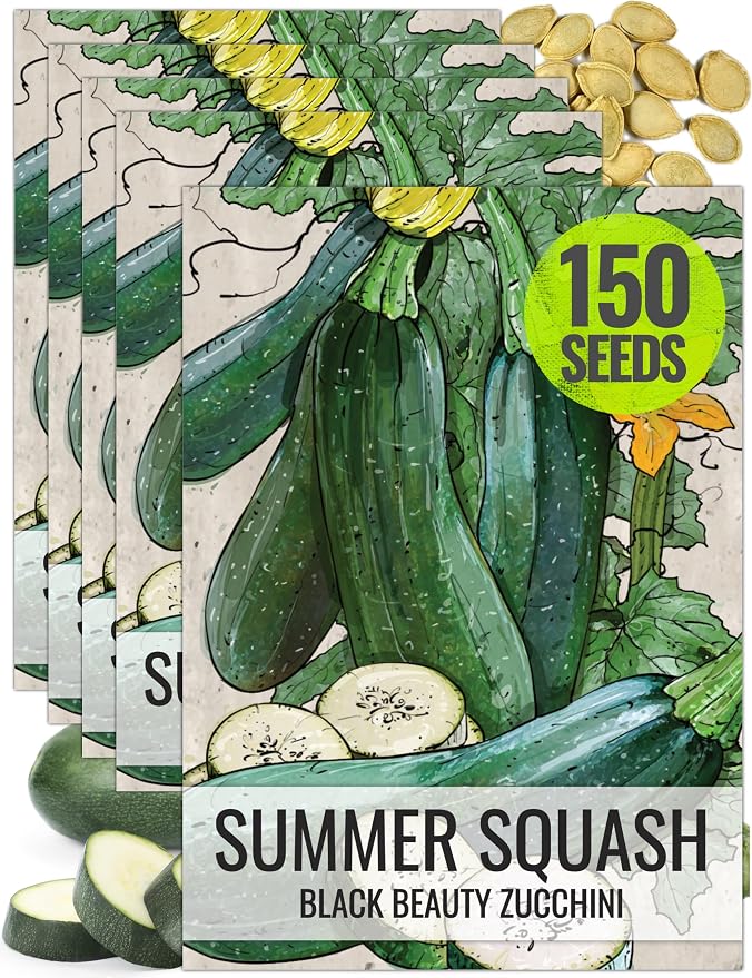 Seed Needs Zucchini Seeds for Planting Black Beauty Summer Squash by SeedNeeds