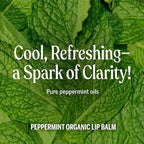 Dr. Bronner's - Organic Lip Balm - Made - Image 3